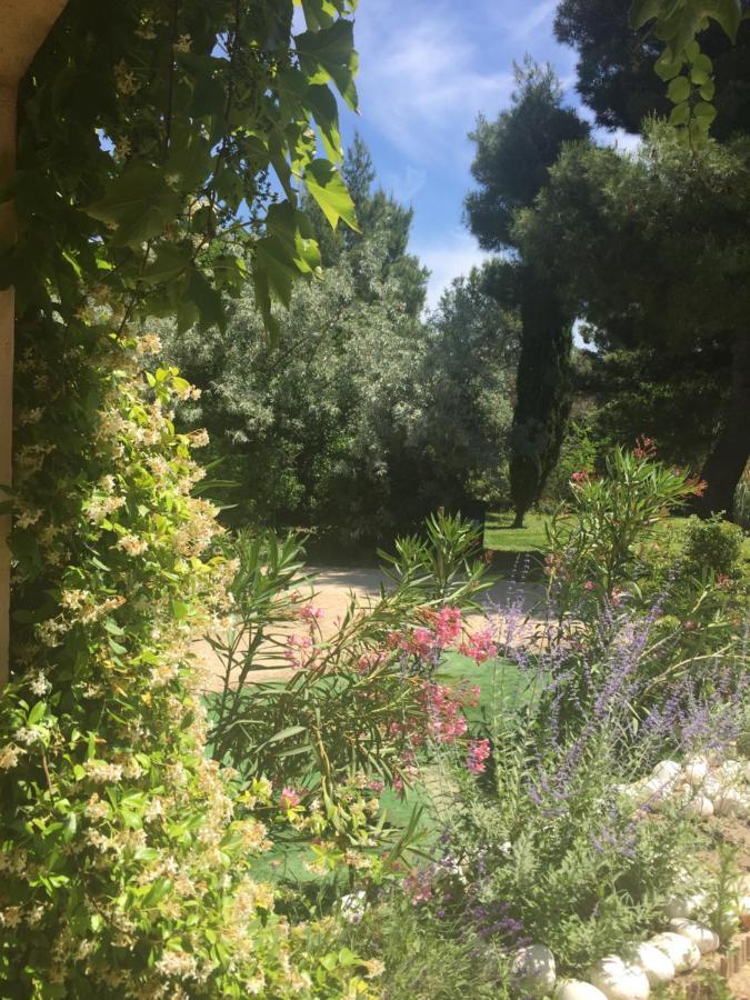 Le Loft Des Artistes Holiday home Arles